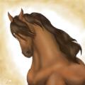 Pic #7349